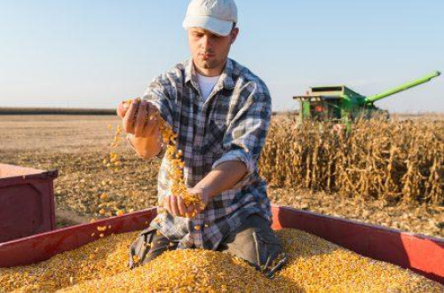 A farmerek, a gazdálkodók a kedvezőtlen időjárás közepette is dolgoznak, termelnek, az ukrajnai olcsó gabona beáramlása, azonban tönkre teheti őket 